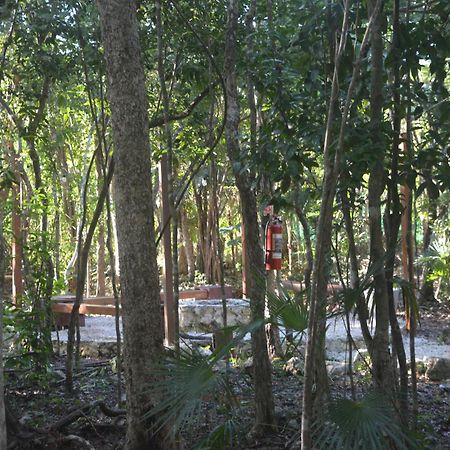 Glamping Mayan Glam Τουλούμ Εξωτερικό φωτογραφία