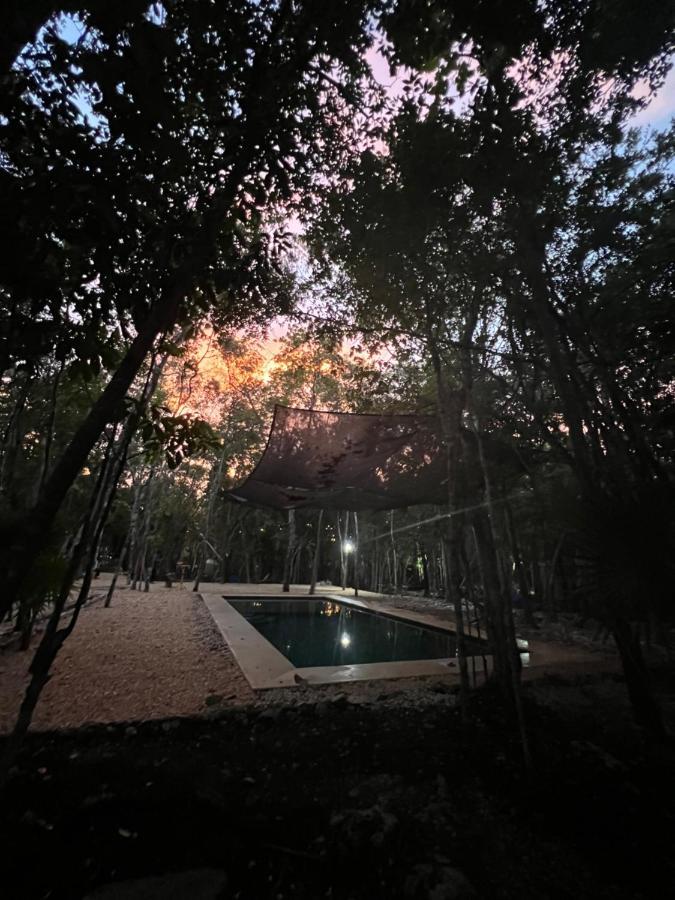 Glamping Mayan Glam Τουλούμ Εξωτερικό φωτογραφία