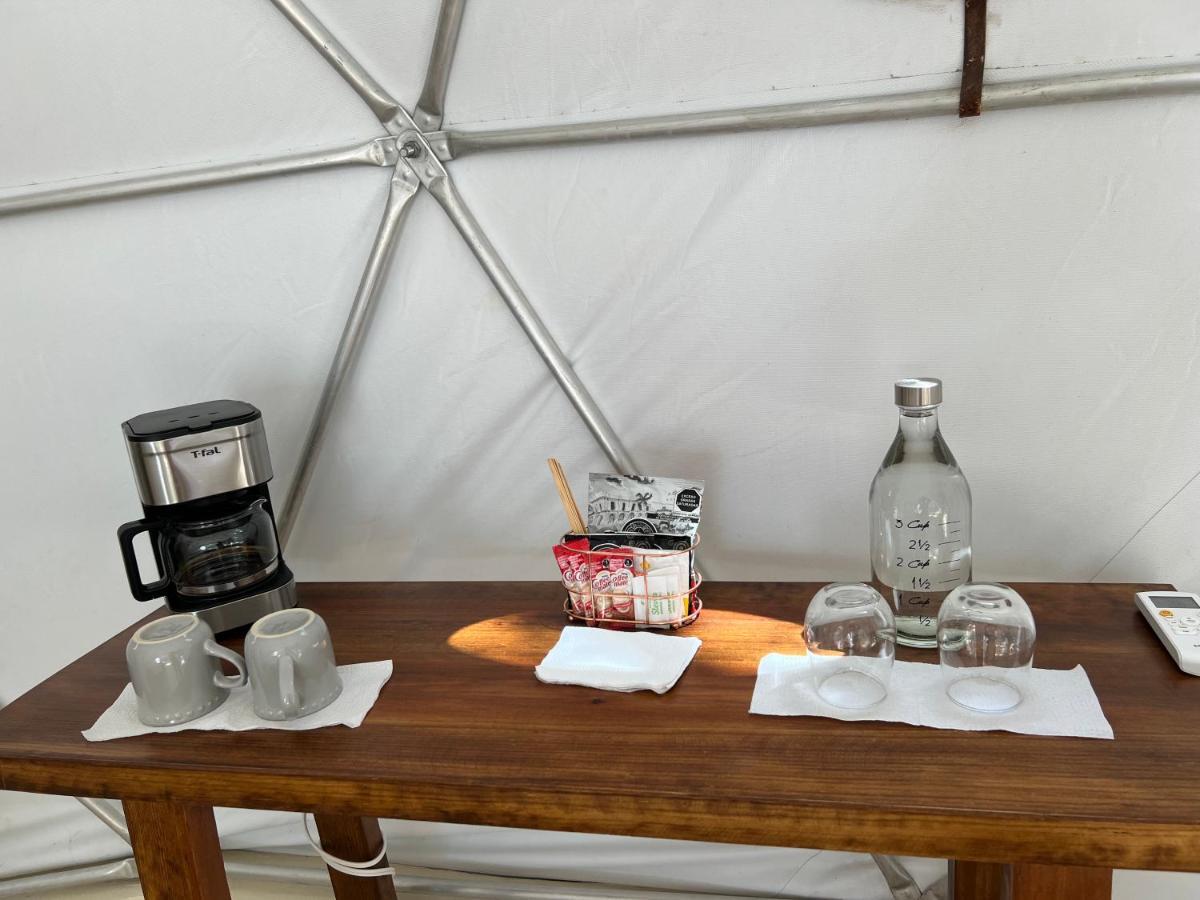 Glamping Mayan Glam Τουλούμ Εξωτερικό φωτογραφία