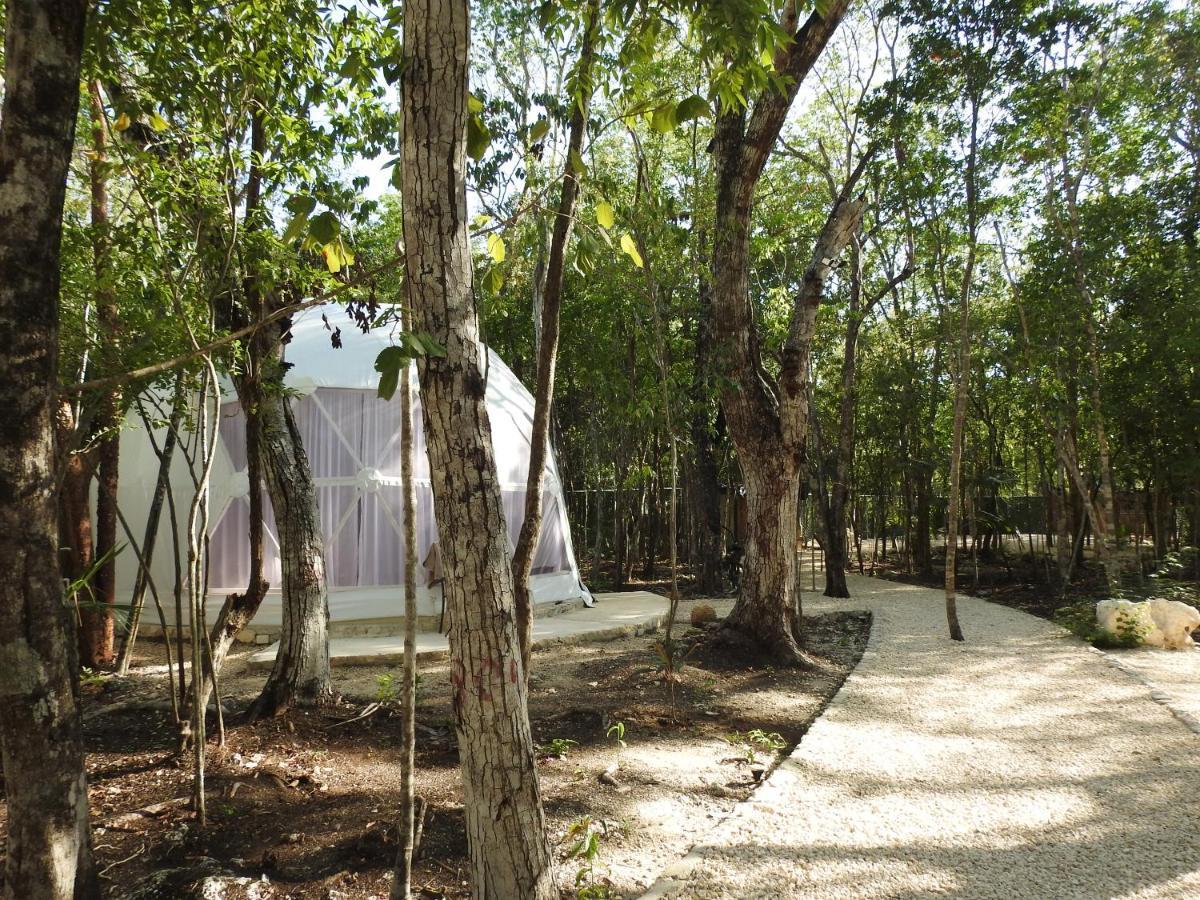 Glamping Mayan Glam Τουλούμ Εξωτερικό φωτογραφία