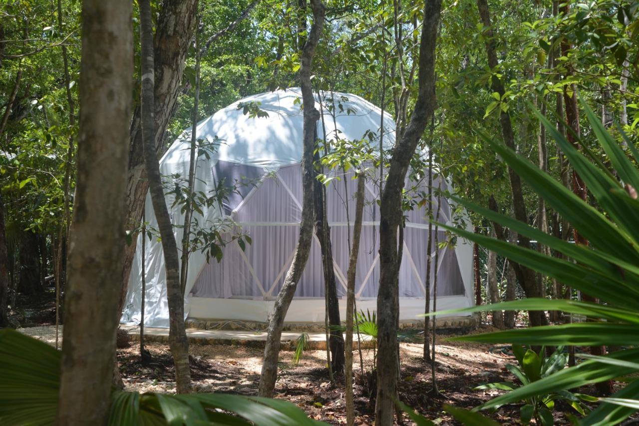 Glamping Mayan Glam Τουλούμ Εξωτερικό φωτογραφία