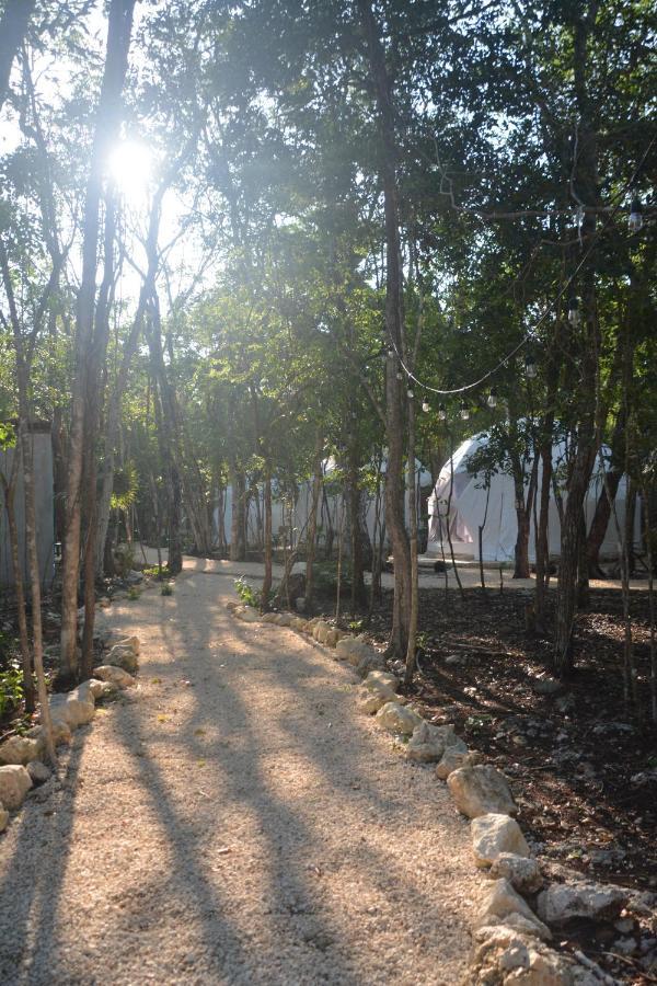 Glamping Mayan Glam Τουλούμ Εξωτερικό φωτογραφία